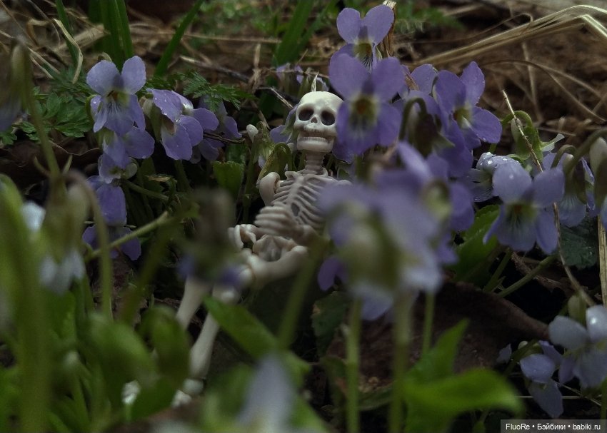 Аркадий — Куклы с Алиэкспресс (Aliexpress): Китайские шарнирные (фото 2)