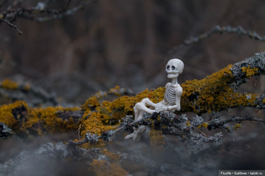 Аркадий — Куклы с Алиэкспресс (Aliexpress): Китайские шарнирные (фото 7)