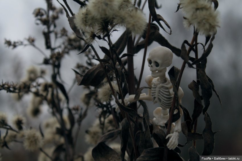 Аркадий — Куклы с Алиэкспресс (Aliexpress): Китайские шарнирные (фото 6)