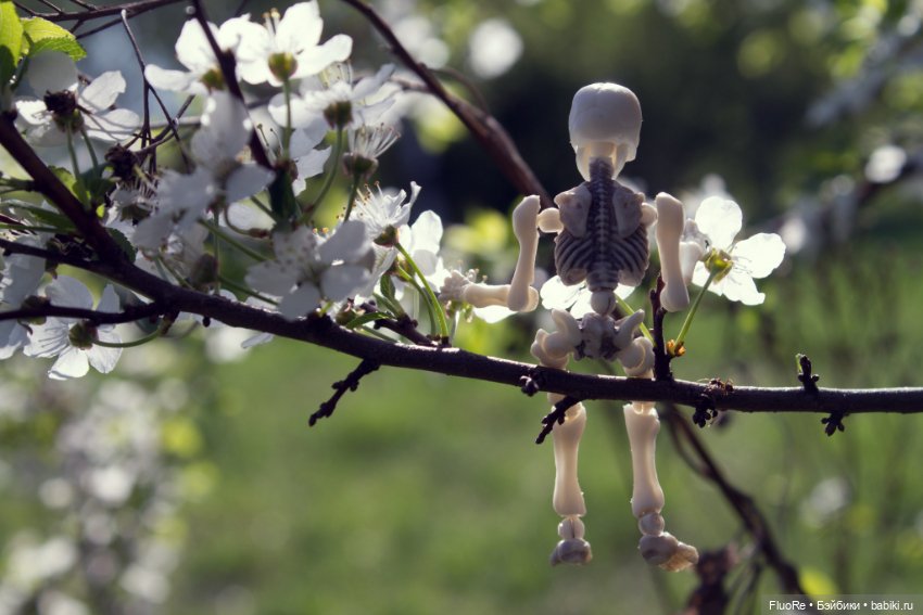 Аркадий — Куклы с Алиэкспресс (Aliexpress): Китайские шарнирные (фото 9)