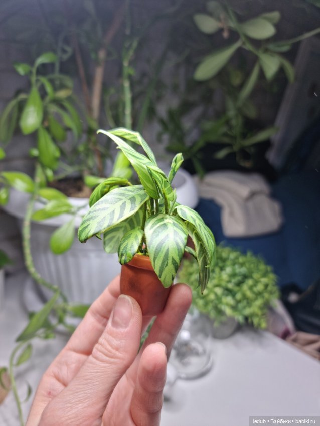 Аглаонема для экшн куклы — Авторские игрушки из разных материалов: синельная проволока