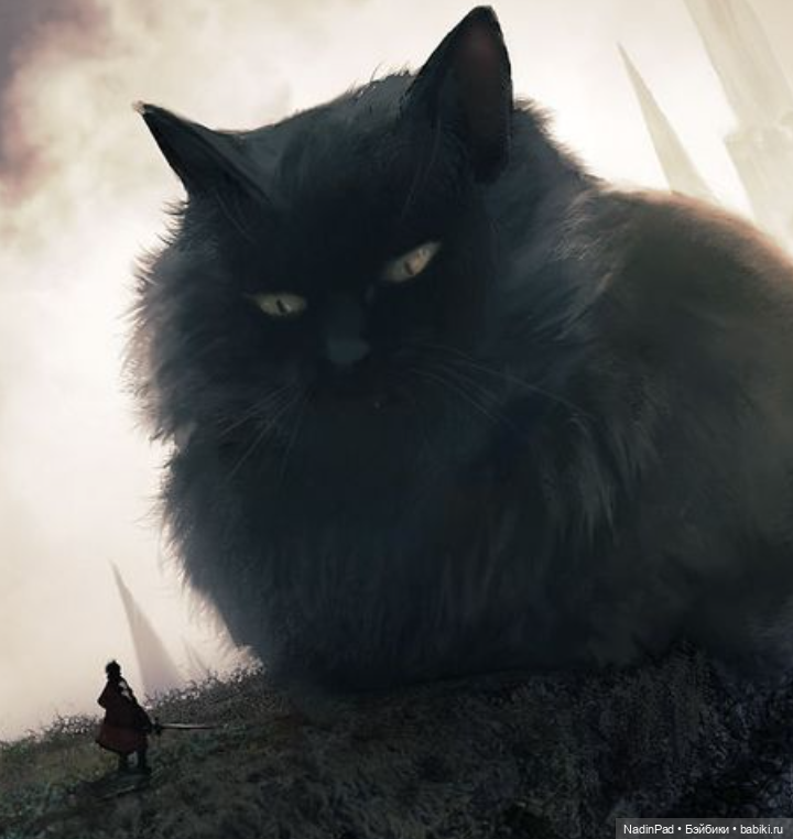 Для настроения. Иллюстрации Ariduka55 (фото 6)