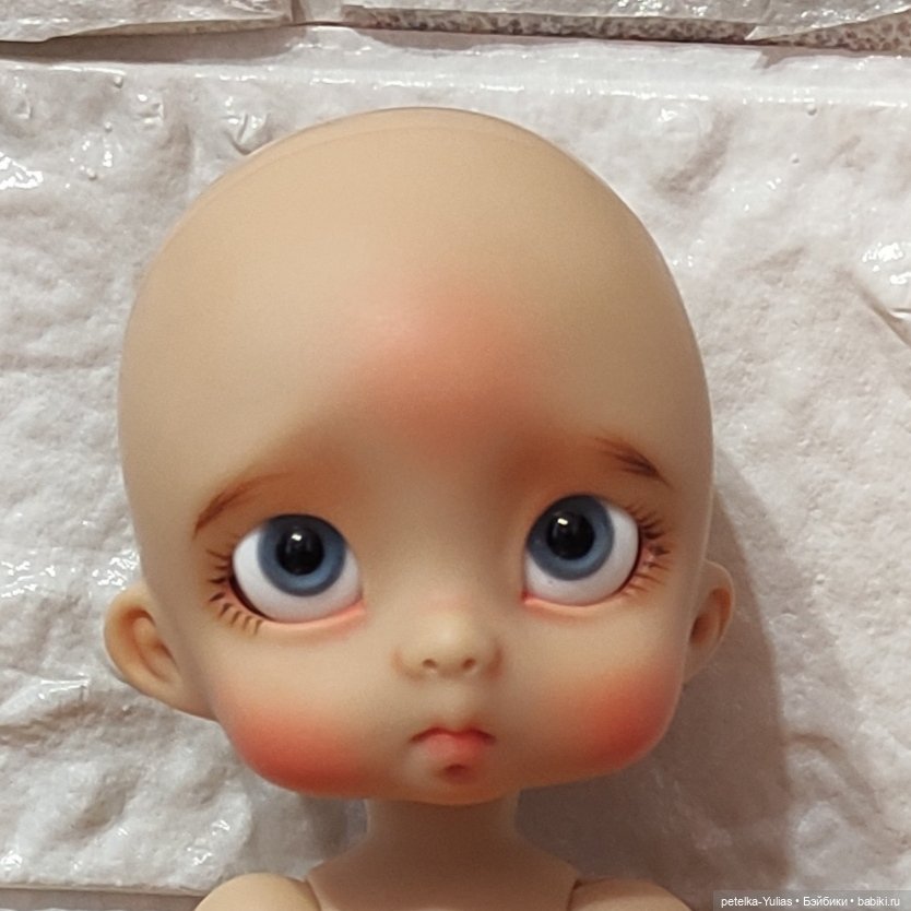 Ожидание длиною в год.Возвращение Пончика (фото 2)