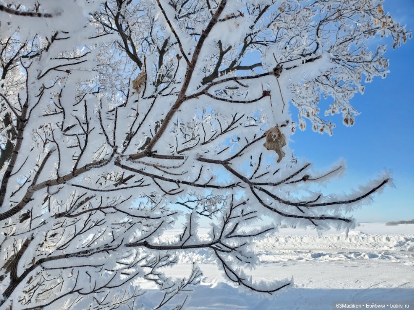Поедем, красотка, кататься (фото 3)