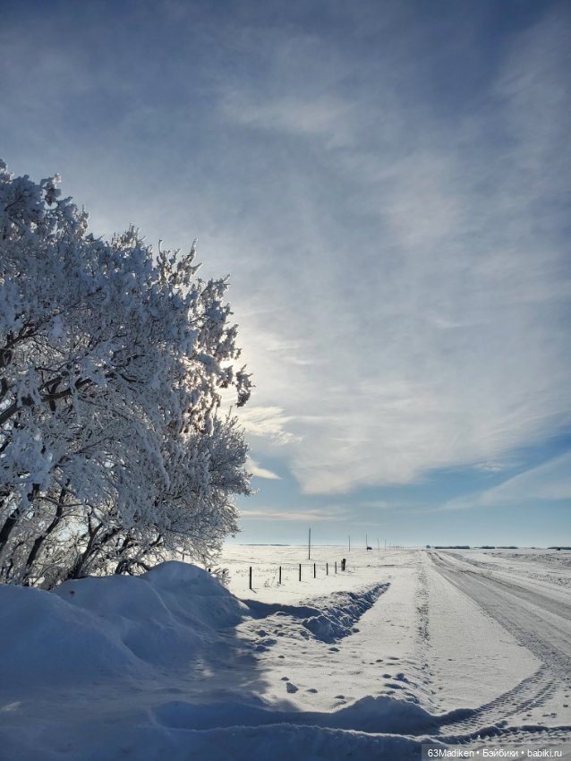 Поедем, красотка, кататься (фото 4)