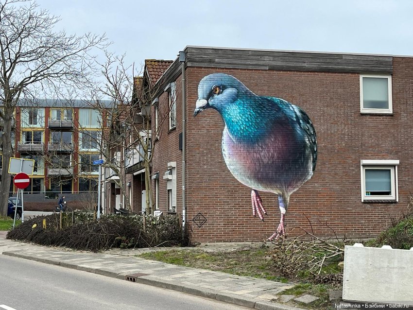 Fashion Dolls 477 — Туризм и путешествия: фотоотчеты из поездок