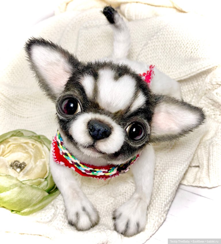 Кузя 🐾 — Реалистичные игрушки и звери (Натюр): собаки (фото 2)