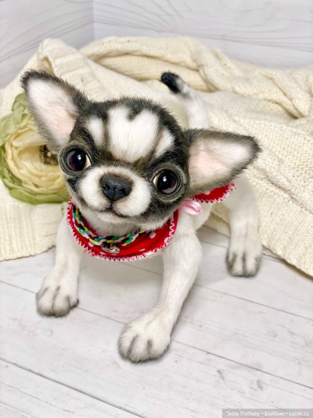 Кузя 🐾 — Реалистичные игрушки и звери (Натюр): собаки