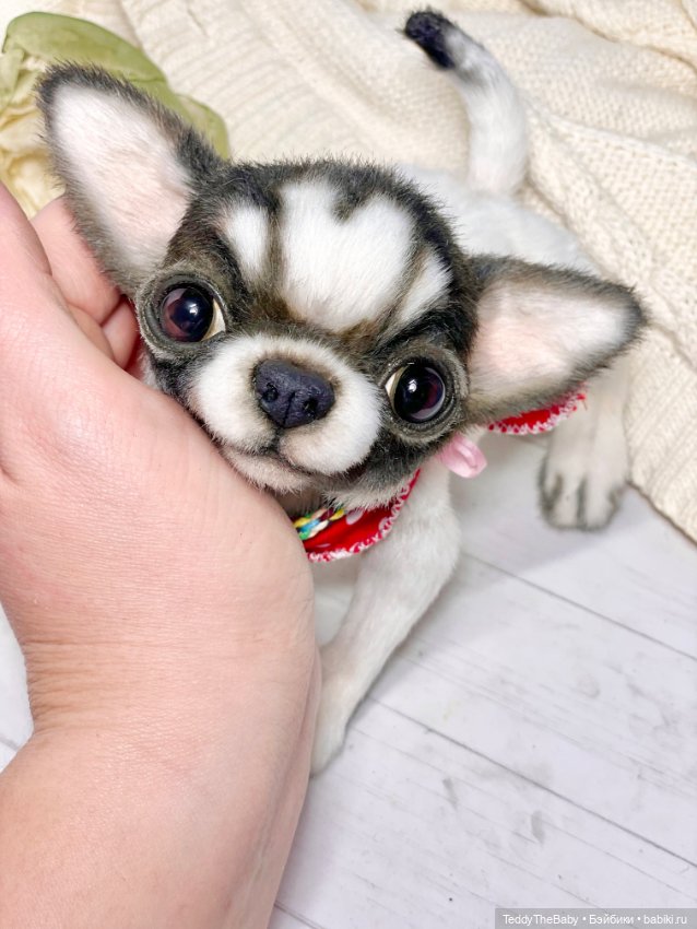 Кузя 🐾 — Реалистичные игрушки и звери (Натюр): собаки