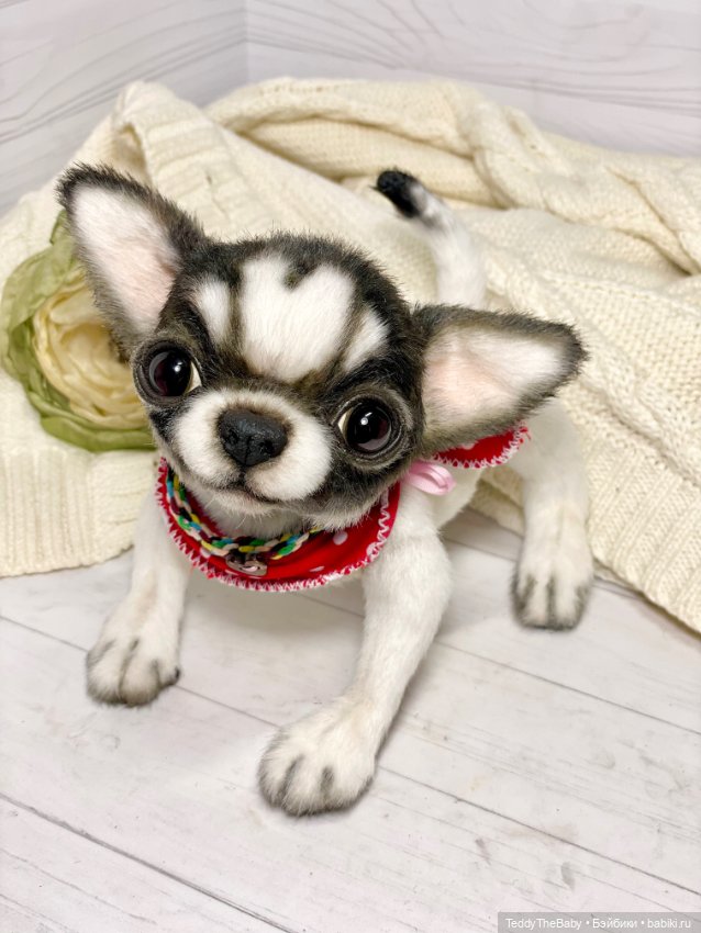 Кузя 🐾 — Реалистичные игрушки и звери (Натюр): собаки