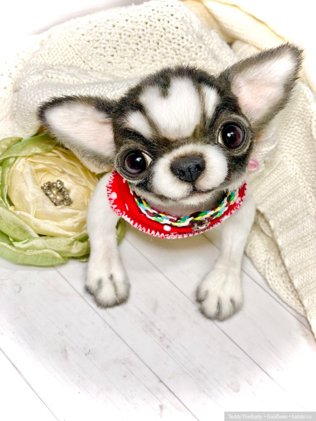 Кузя 🐾 — Реалистичные игрушки и звери (Натюр): собаки