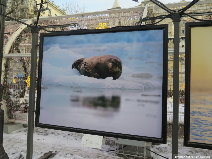Галамартовна где-то на Большой Никитской