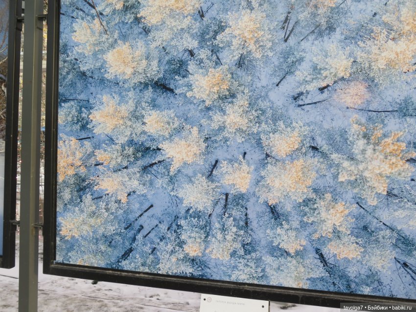 Галамартовна где-то на Большой Никитской