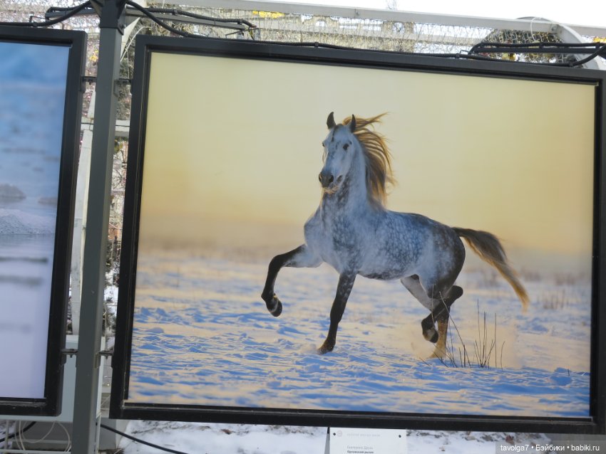 Галамартовна где-то на Большой Никитской