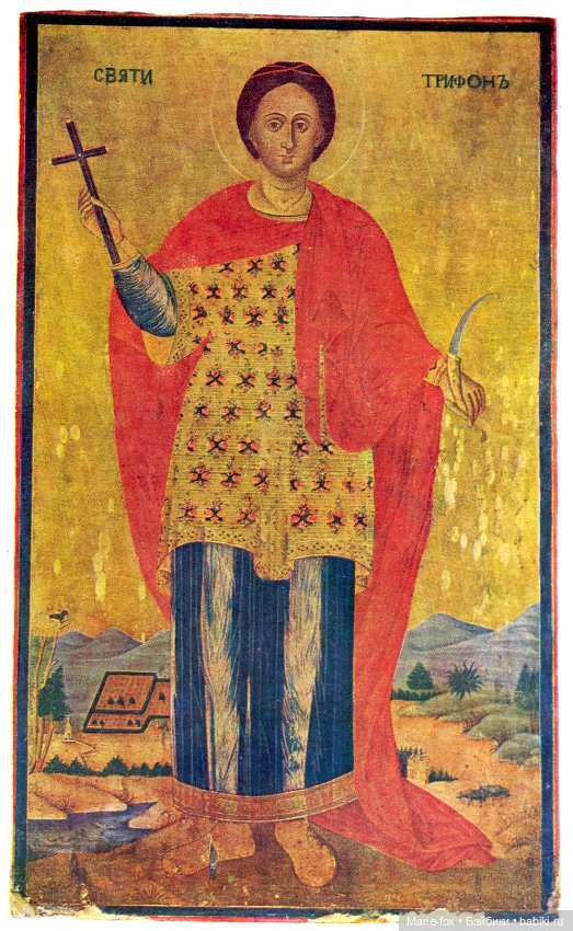 День Святого Трифона — Интересное и необычное: фотоподборки