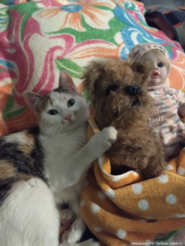 Пополнение семейства или — Домашние фото авторских игрушек: Тедди