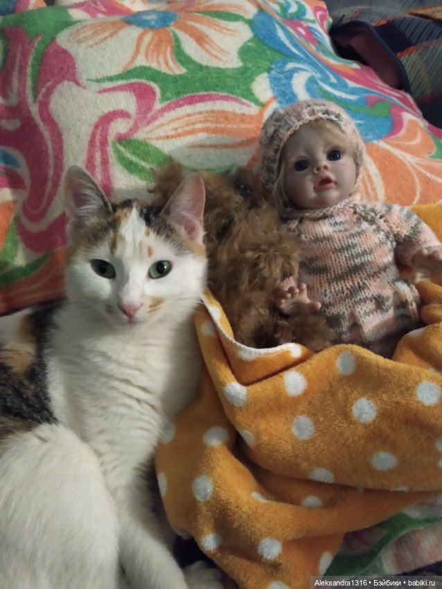 Пополнение семейства или — Домашние фото авторских игрушек: Тедди