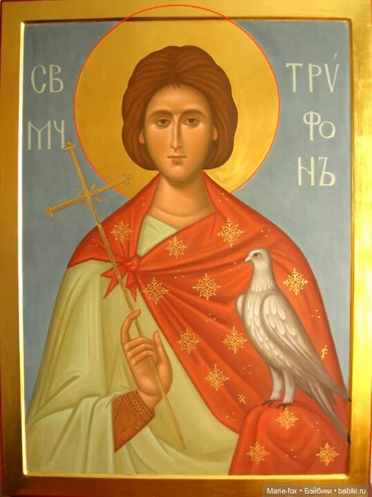 День Святого Трифона — Интересное и необычное: фотоподборки (фото 3)