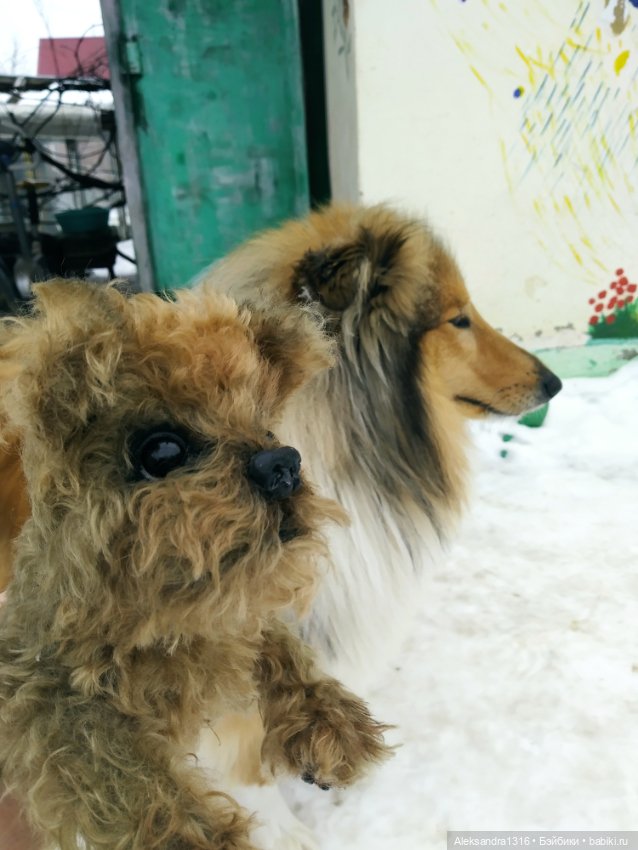 Пополнение семейства или — Домашние фото авторских игрушек: Тедди