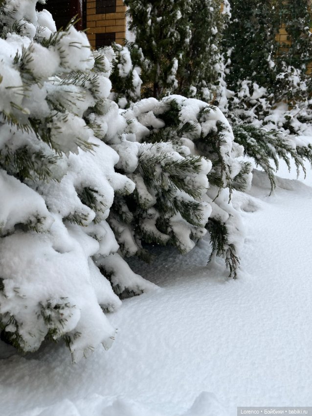 И ещё немного пушистого — Игровые куклы разных производителей (Разное): редкие бренды