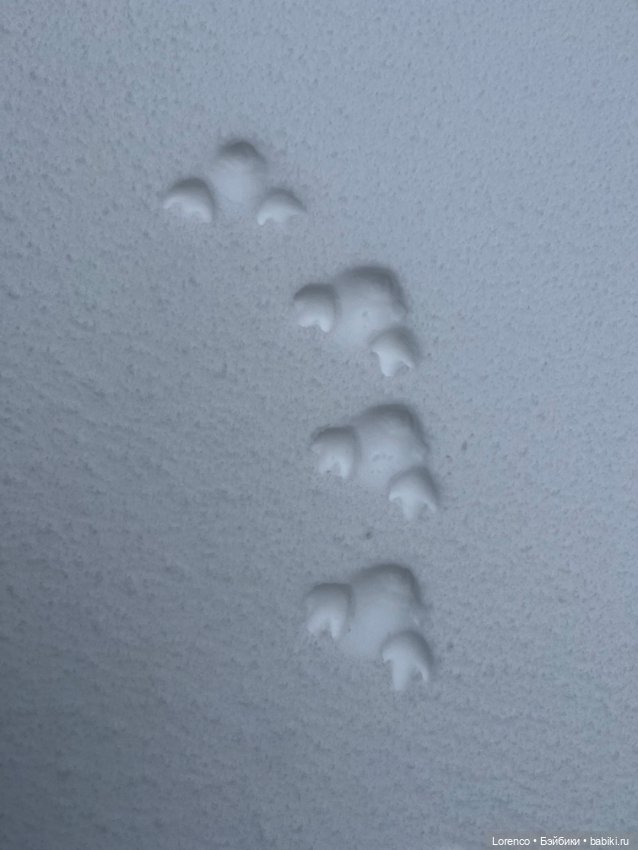 И ещё немного пушистого — Игровые куклы разных производителей (Разное): редкие бренды (фото 8)