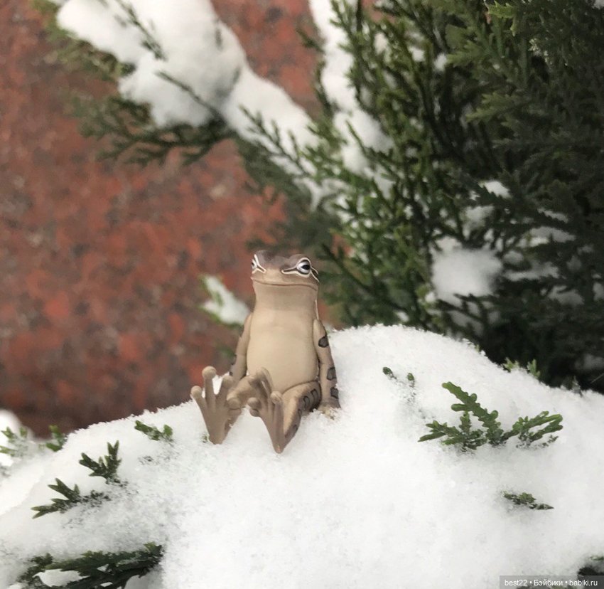 Капсульный лягушонок — Интересные игрушки и фигурки (разное): редкие