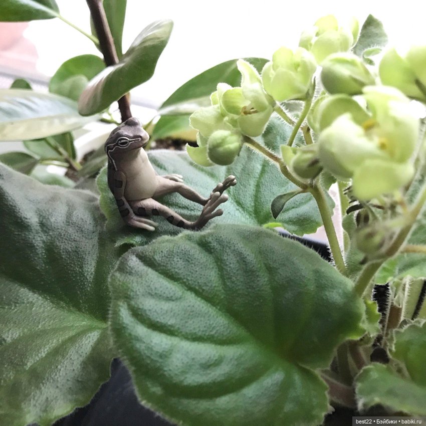 Капсульный лягушонок — Интересные игрушки и фигурки (разное): редкие (фото 5)