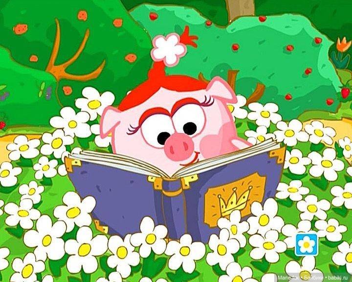 День книгодарения — Интересное и необычное: фотоподборки