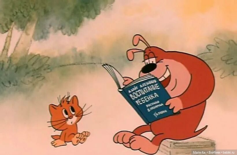 День книгодарения — Интересное и необычное: фотоподборки (фото 7)