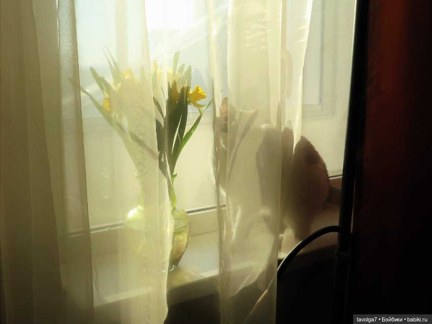 Весна, баболи и котики — Куклы Baboliy (Баболи