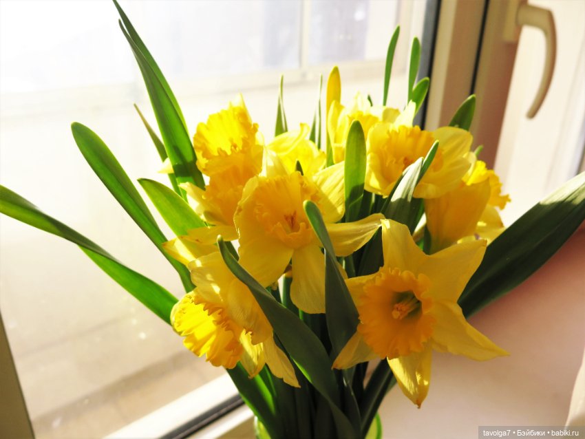 Весна, баболи и котики — Куклы Baboliy (Баболи (фото 3)