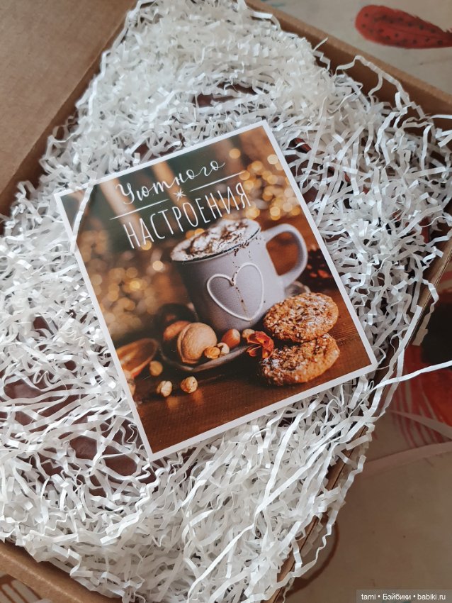 Милая Зайка приехала домой (фото 2)