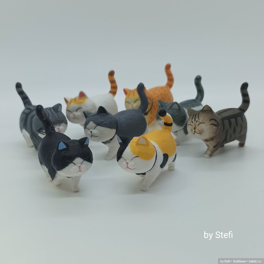 Покажу настоящую кошачью банду