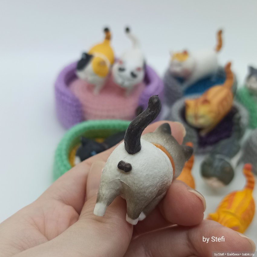 Покажу настоящую кошачью банду (фото 3)