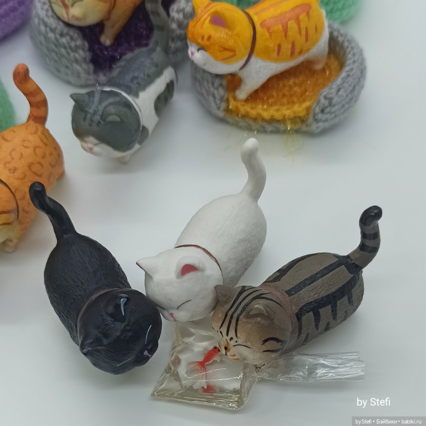 Покажу настоящую кошачью банду (фото 8)