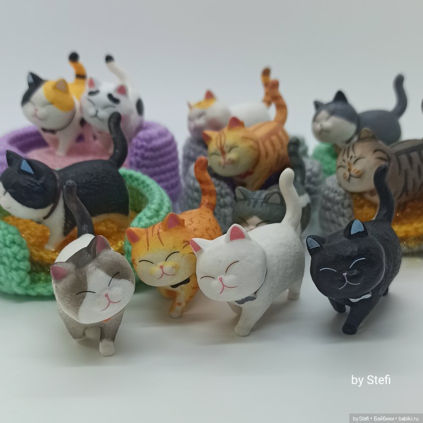 Покажу настоящую кошачью банду (фото 4)