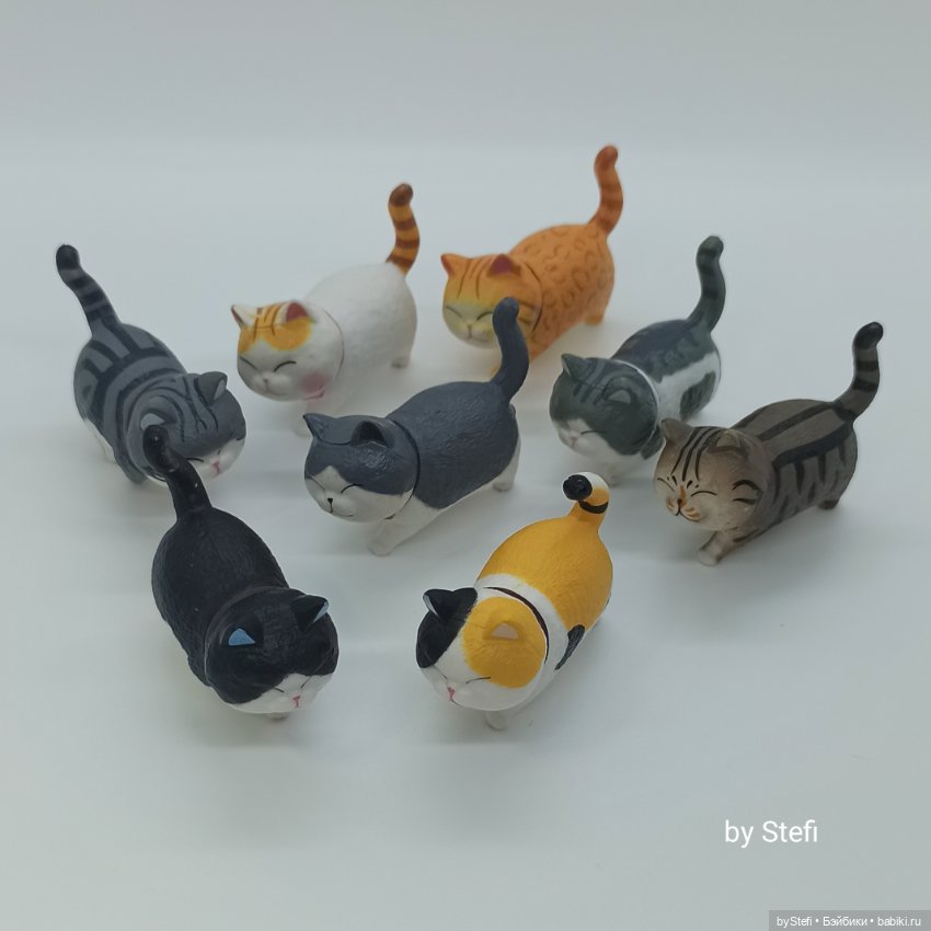 Покажу настоящую кошачью банду