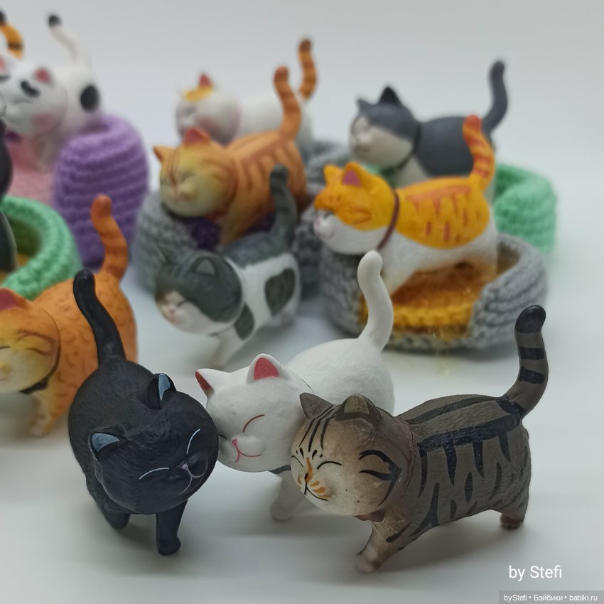 Покажу настоящую кошачью банду (фото 7)