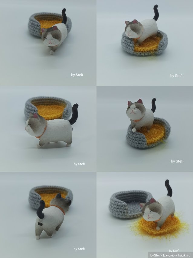 Покажу настоящую кошачью банду