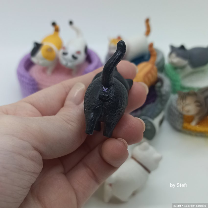 Покажу настоящую кошачью банду (фото 6)