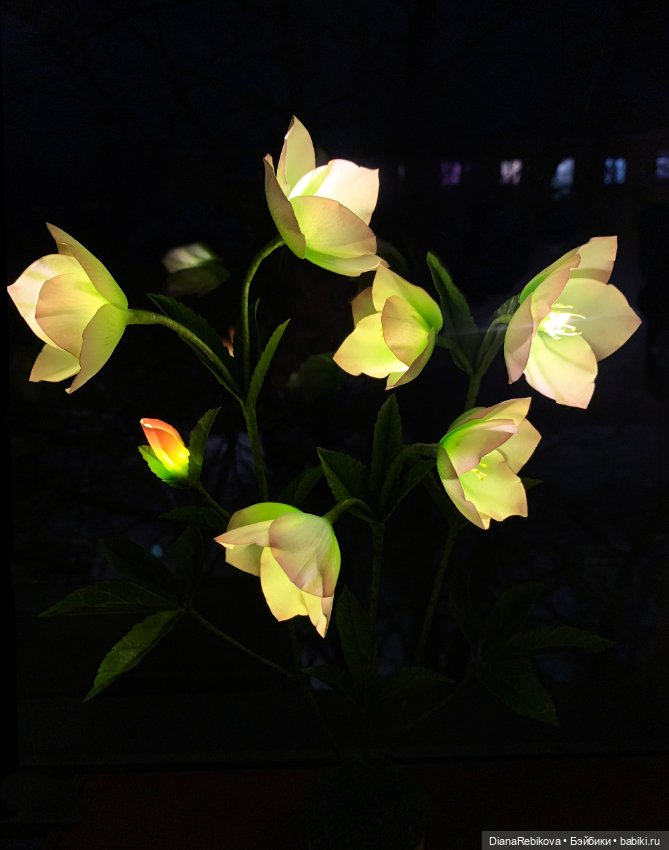 Морозники уже цветут! Приближаем весну