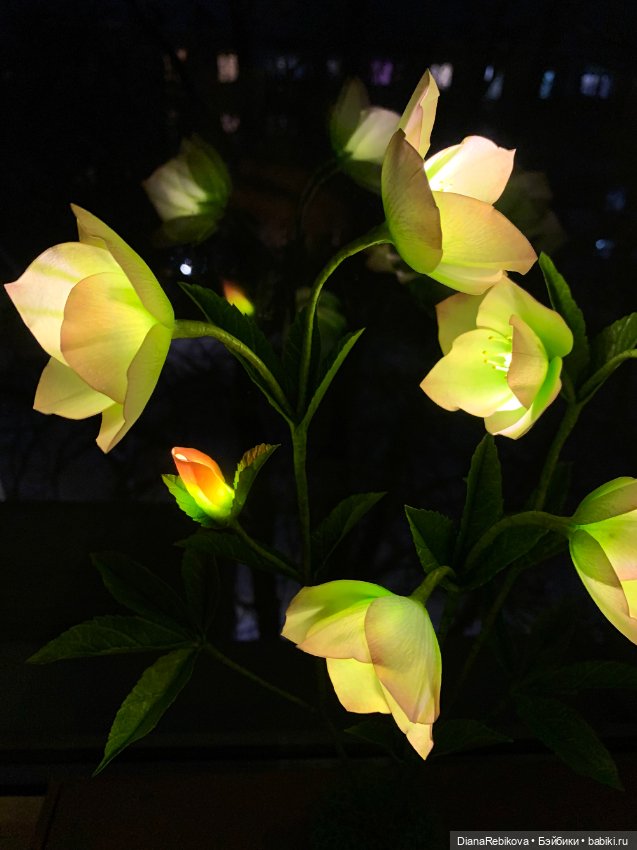 Морозники уже цветут! Приближаем весну