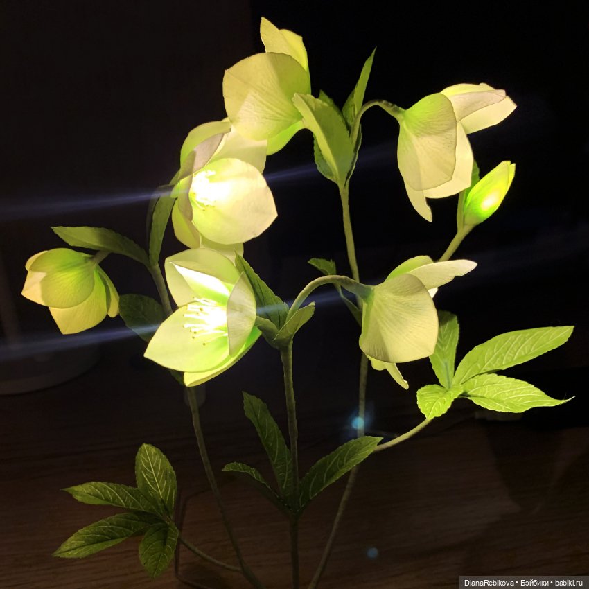 Морозники уже цветут! Приближаем весну (фото 6)