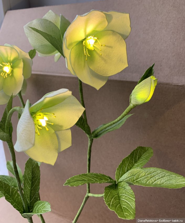 Морозники уже цветут! Приближаем весну (фото 4)