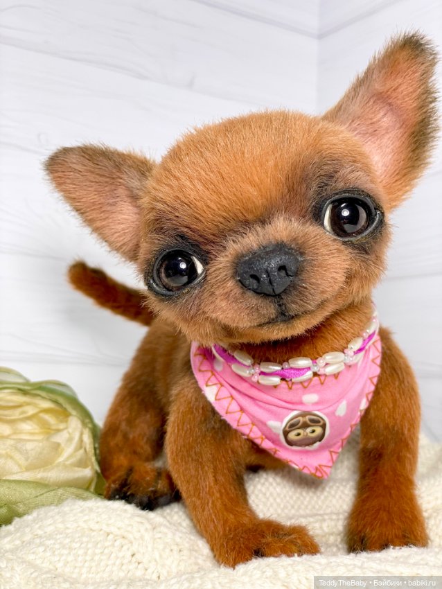 Феня- Фенечка🐾🐶 — Реалистичные игрушки и звери (Натюр): собаки (фото 3)