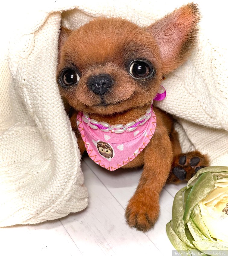 Феня- Фенечка🐾🐶 — Реалистичные игрушки и звери (Натюр): собаки