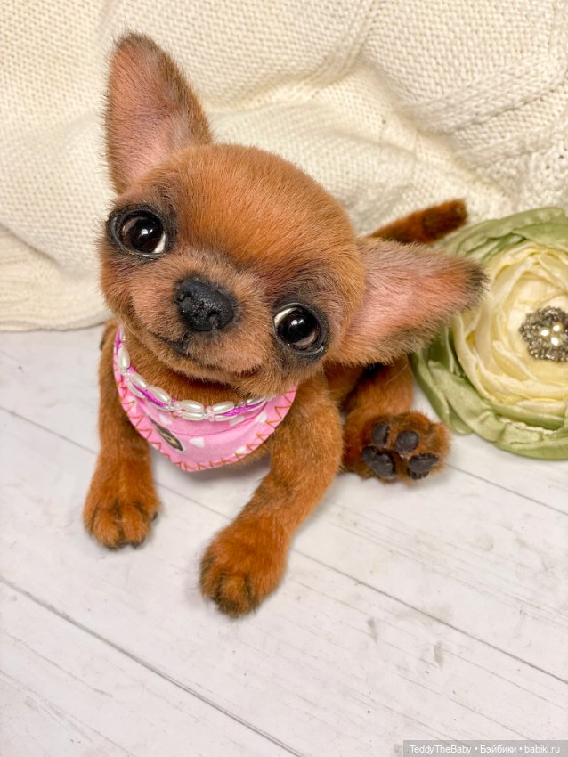 Феня- Фенечка🐾🐶 — Реалистичные игрушки и звери (Натюр): собаки