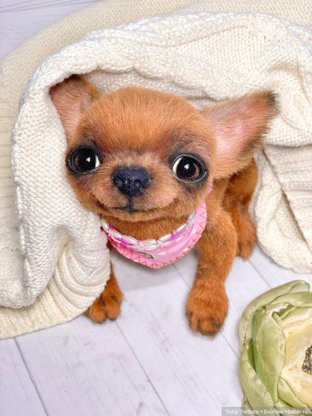 Феня- Фенечка🐾🐶 — Реалистичные игрушки и звери (Натюр): собаки