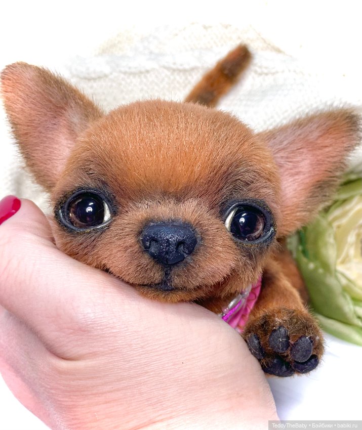 Феня- Фенечка🐾🐶 — Реалистичные игрушки и звери (Натюр): собаки