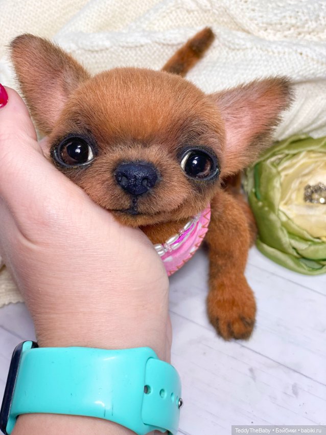 Феня- Фенечка🐾🐶 — Реалистичные игрушки и звери (Натюр): собаки